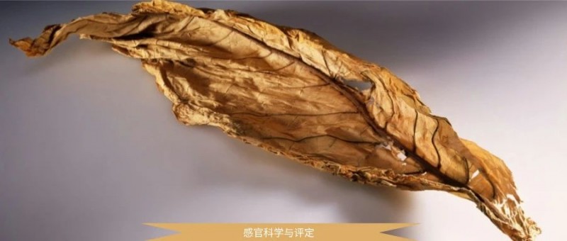 微信圖片_20250311142758