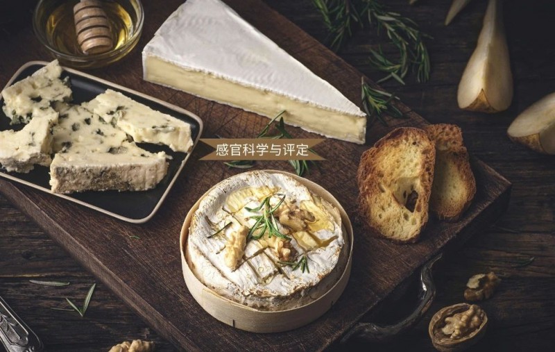 微信圖片_20250422173017