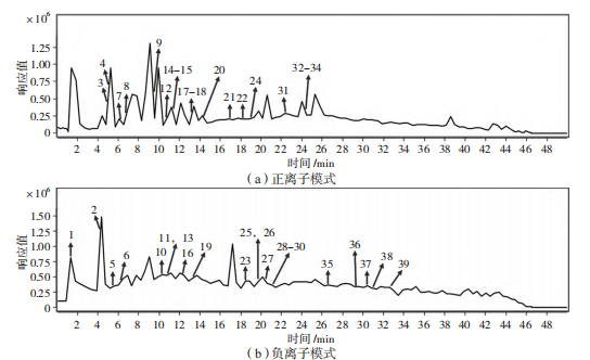 微信圖片_20250709152040